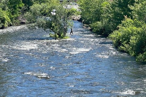 Fisherman in Cobbossee Stream